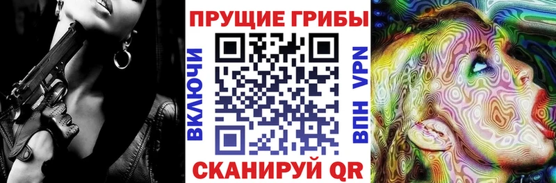 купить наркотик  shop официальный сайт  Псилоцибиновые грибы ЛСД  Ангарск 