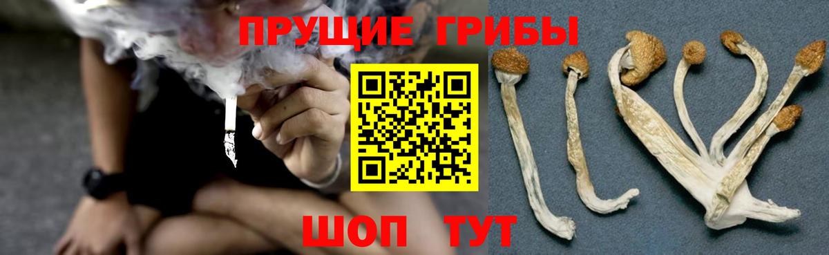 Галлюциногенные грибы Cubensis  Псилоцибиновые грибы Psilocybe  Вход с VPN  Ангарск 